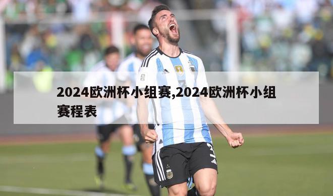 2024欧洲杯小组赛,2024欧洲杯小组赛程表