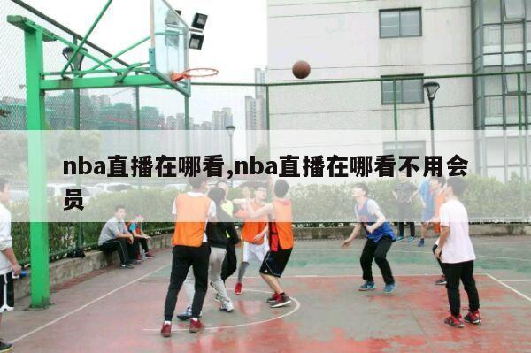 nba直播在哪看,nba直播在哪看不用会员