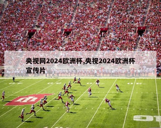 央视网2024欧洲杯,央视2024欧洲杯宣传片