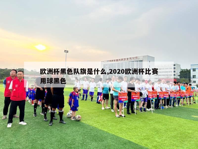 欧洲杯黑色队旗是什么,2020欧洲杯比赛用球黑色