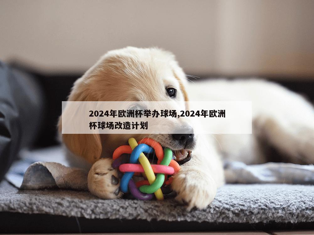 2024年欧洲杯举办球场,2024年欧洲杯球场改造计划