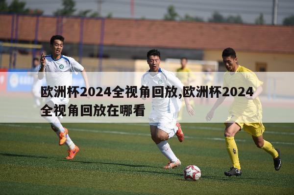 欧洲杯2024全视角回放,欧洲杯2024全视角回放在哪看