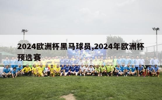 2024欧洲杯黑马球员,2024年欧洲杯预选赛