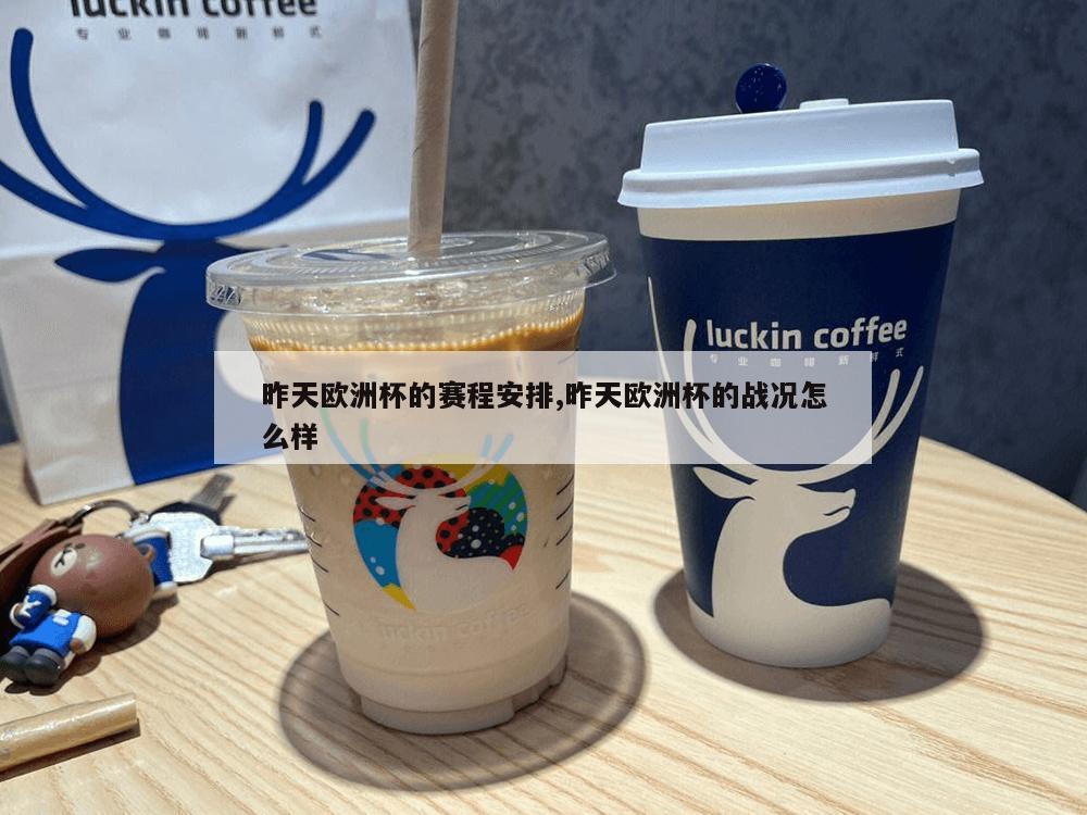 昨天欧洲杯的赛程安排,昨天欧洲杯的战况怎么样