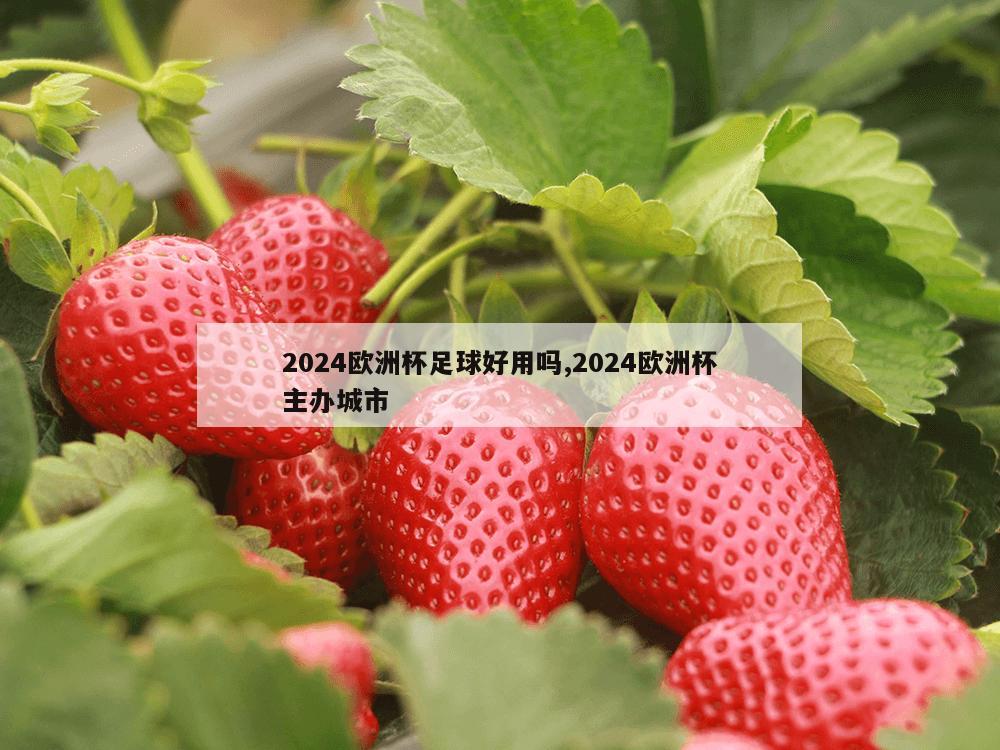 2024欧洲杯足球好用吗,2024欧洲杯主办城市