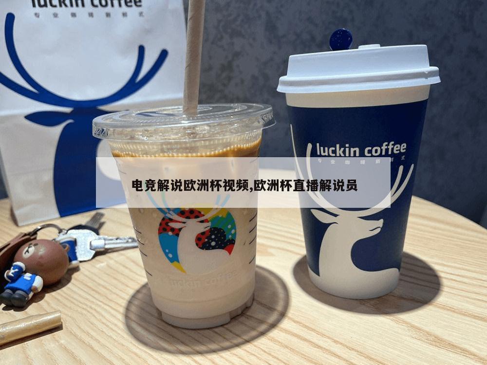 电竞解说欧洲杯视频,欧洲杯直播解说员