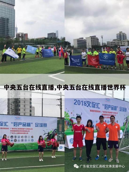 中央五台在线直播,中央五台在线直播世界杯