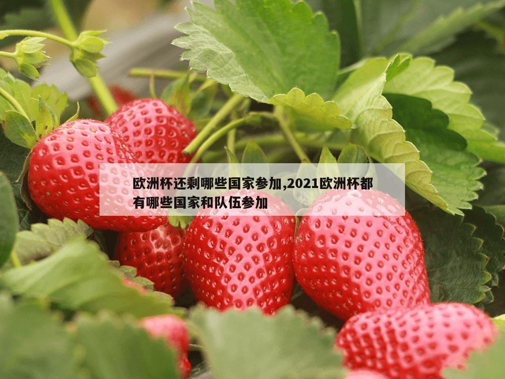 欧洲杯还剩哪些国家参加,2021欧洲杯都有哪些国家和队伍参加