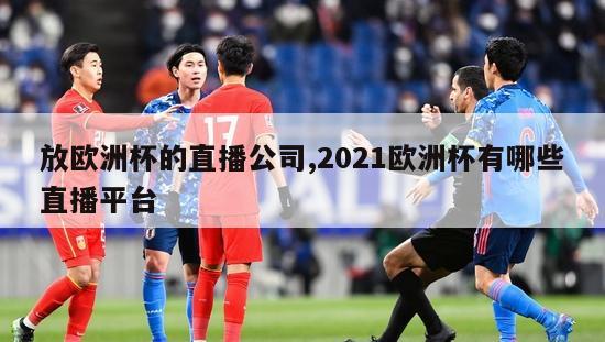 放欧洲杯的直播公司,2021欧洲杯有哪些直播平台