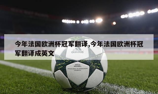 今年法国欧洲杯冠军翻译,今年法国欧洲杯冠军翻译成英文